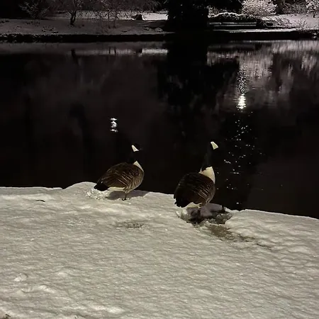 303 Am Kasinopark * Georgsmarienhütte